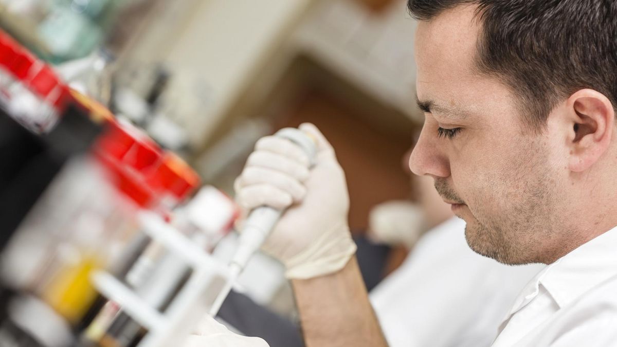 Serologia, nauka o reakcjach antygenu z przeciwciałami surowicy krwi to część immunologii.