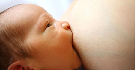 Mleko mamy i mleko modyfikowane pod mikroskopem. Widać wszystkie różnice