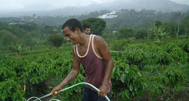 Jacobs Douwe Egberts ruszył z przetargiem mediowym, budżetu bronią Havas Media i Carat