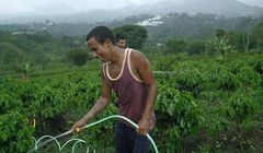 Jacobs Douwe Egberts ruszył z przetargiem mediowym, budżetu bronią Havas Media i Carat