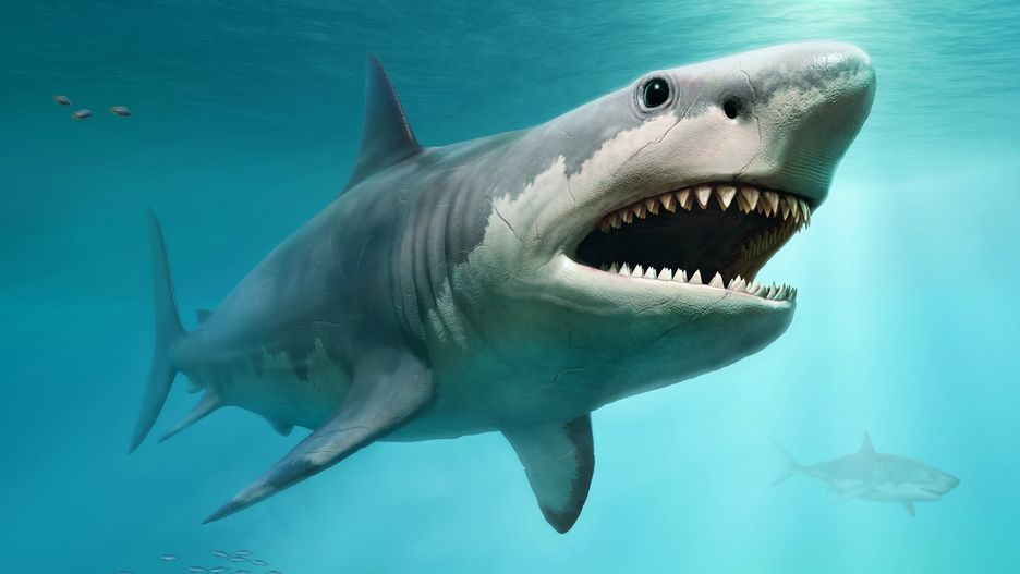 Prehistoryczny megalodon. Wizualizacja autorstwa AI
