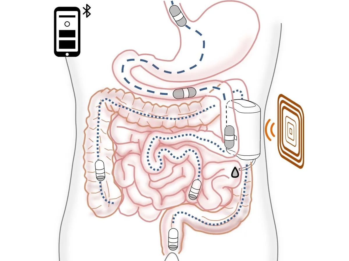 System PILLSID