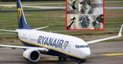"Nie mogłam uwierzyć". Pasażerka atakuje Ryanair
