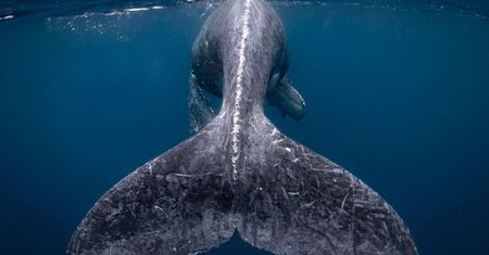 Zobacz zwycięskie prace National Geographic Travel Photographer of the Year 2018