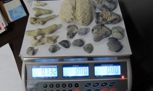 Ukrainka wpadła na lotnisku przez nietypowe pamiątki. Sprawa w sądzie