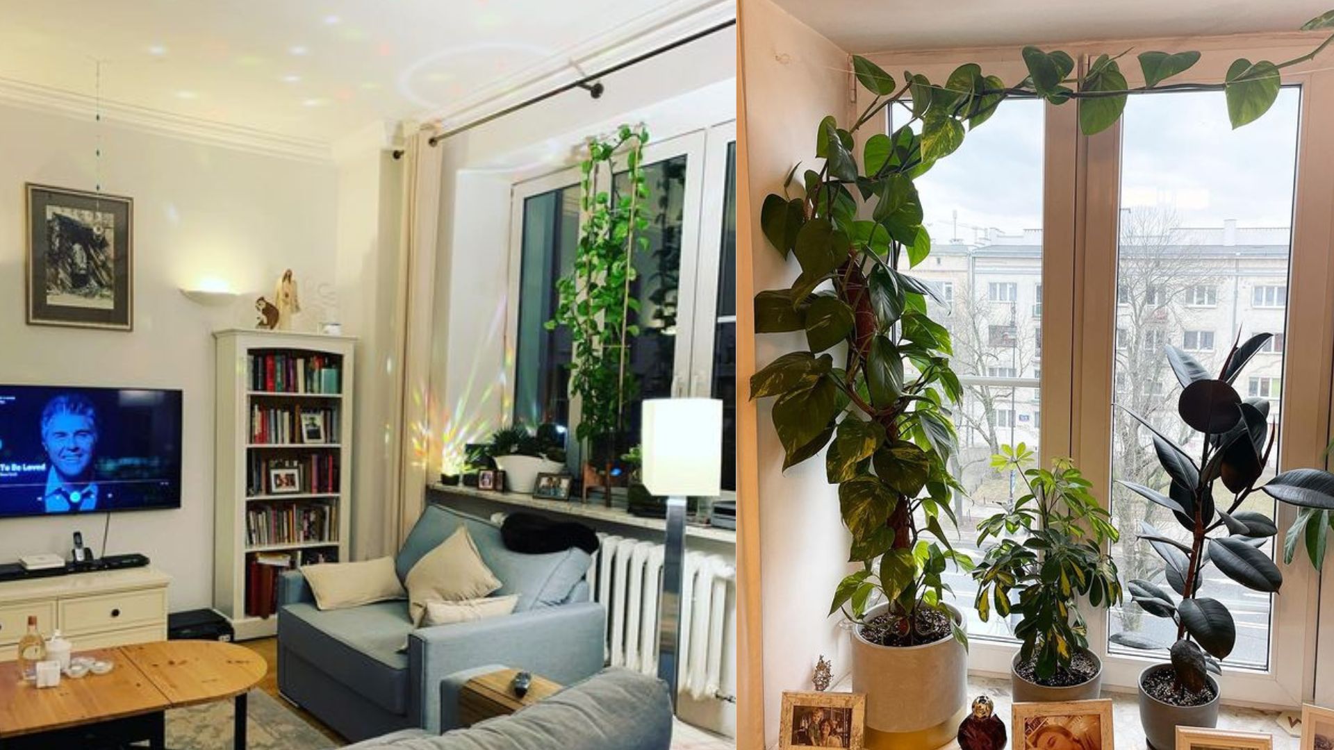 Tak wygląda "klitka na Żoliborzu" Moniki Richardson 