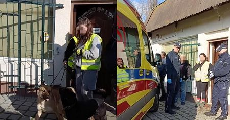 Horror w siedzibie znanej fundacji. Co dalej ze zwierzętami?
