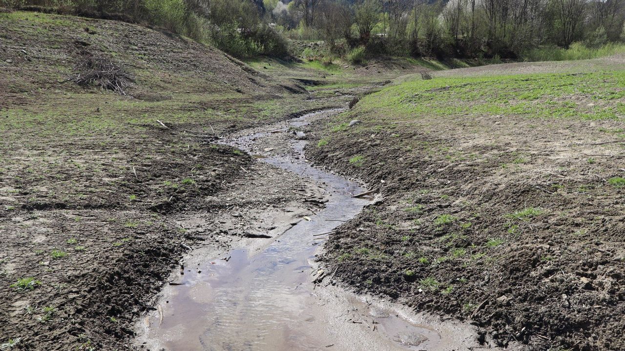 Problem z wodą w Tarnowie Podgórnym. Koniec z basenami i podlewaniem trawników?