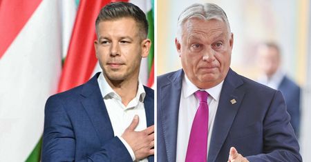 Wybory na Węgrzech. Polacy "za" porażką Orbana