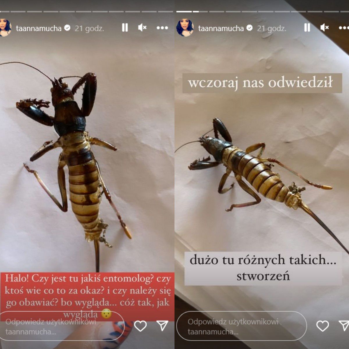 Anna Mucha pokazała "gościa"