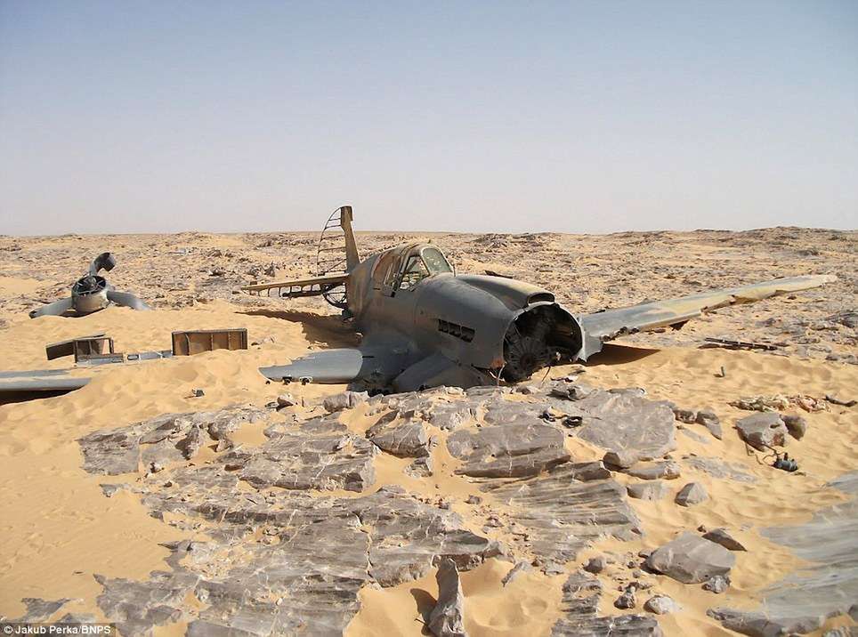 Odkryto kapsułę czasu. Kompletny P-40 Kittyhawk z 1942 roku znaleziony na Saharze 3