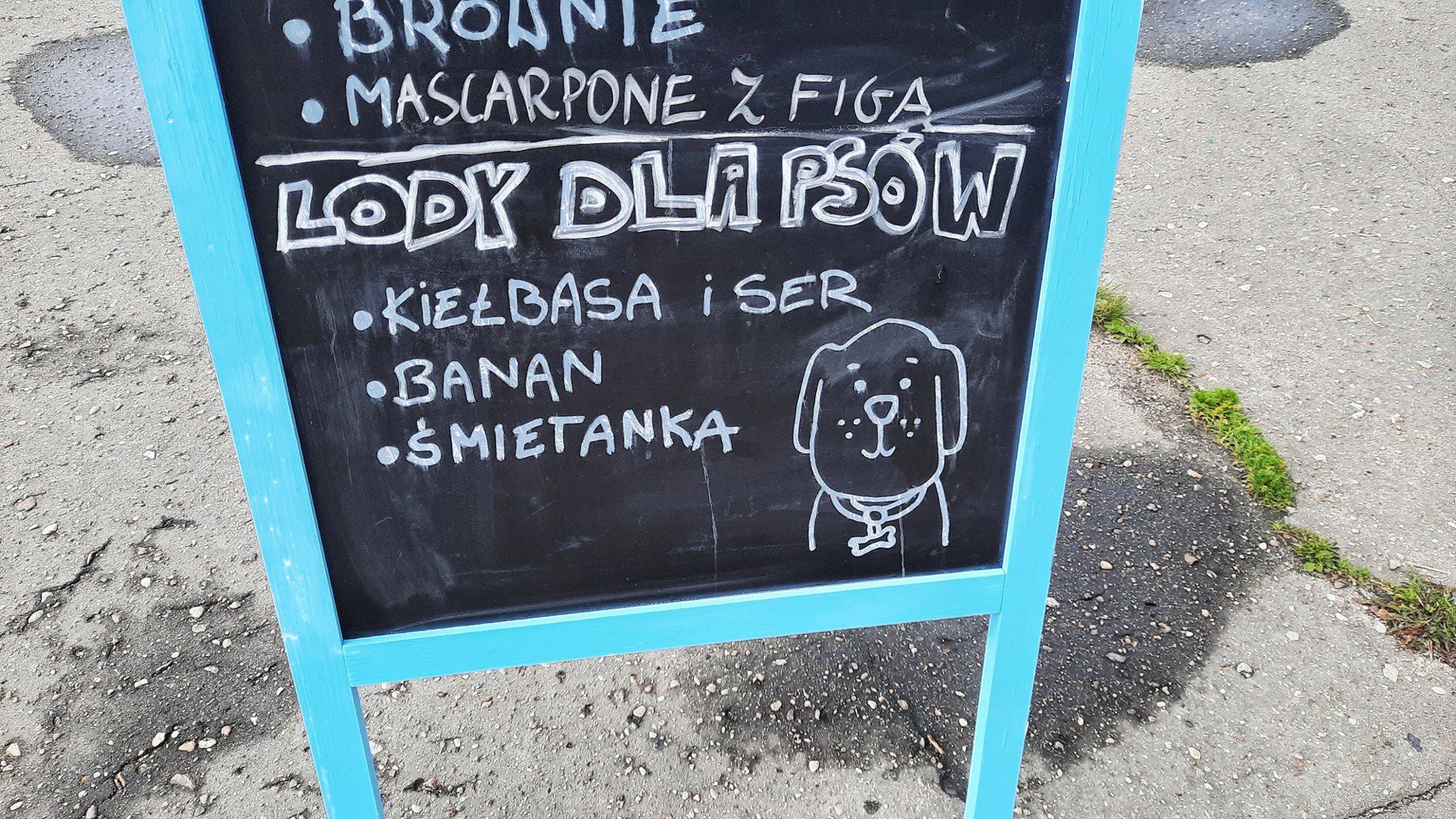 W Bike Cafe w parku Kasprowicza w Poznaniu można kupić lody dla psów.