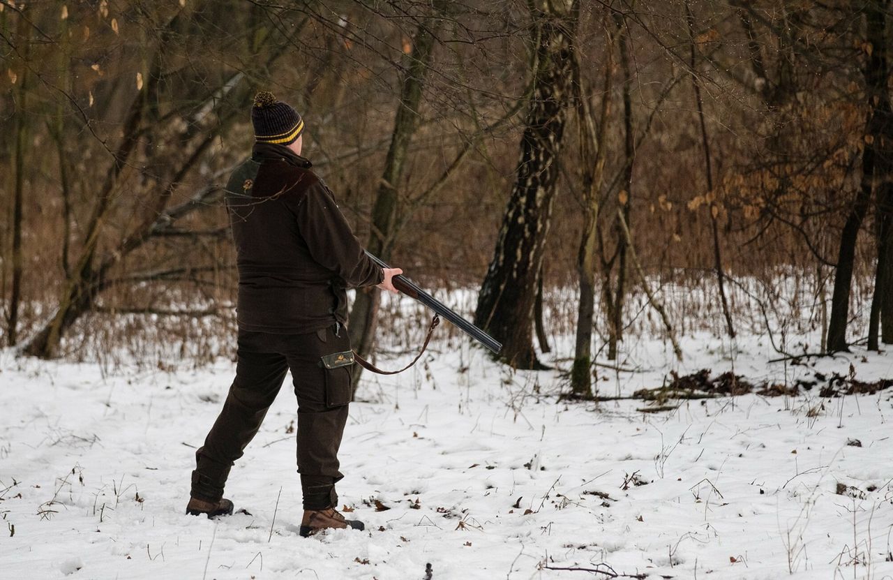 Myśliwy postrzelił psa. Bąbel nie przeżył