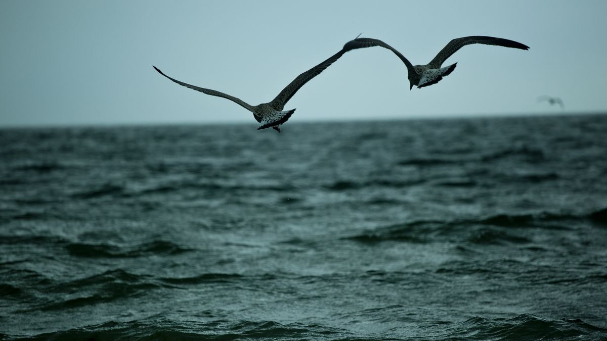 Naukowcy odkryli na dnie Morza Czarnego cząstki sprzed ponad 12 tys. lat