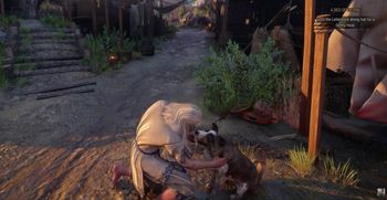 Wiedźmin będzie głaskał pieski. CD Projekt RED ujawnia kolejne nowości