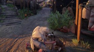 Wiedźmin będzie głaskał pieski. CD Projekt RED ujawnia kolejne nowości