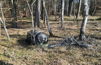 Kolejne szczątki Falcona 9. POLSA potwierdza nowe znalezisko