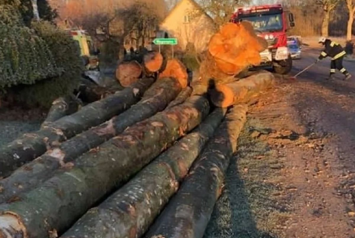Niebezpieczne zdarzenie na drodze. Drzewa mogły zabić ludzi