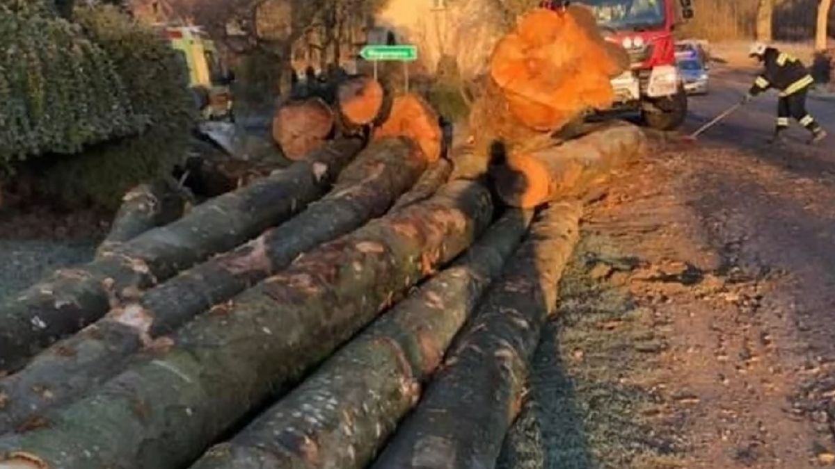 Niebezpieczne zdarzenie na drodze. Drzewa mogły zabić ludzi