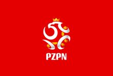 PZPN podał skład komisji ds. mediów