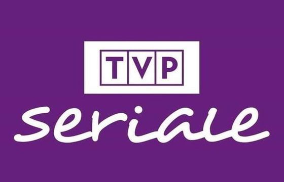 TVP Seriale liderem w styczniu. AXN Spin z największym wzrostem oglądalności