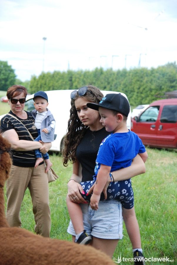 IV Piknik Rodzinny w Boniewie