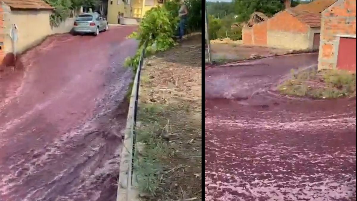 Wino płynęło ulicami miasta