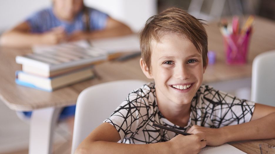 Cheerful boy in the school desk