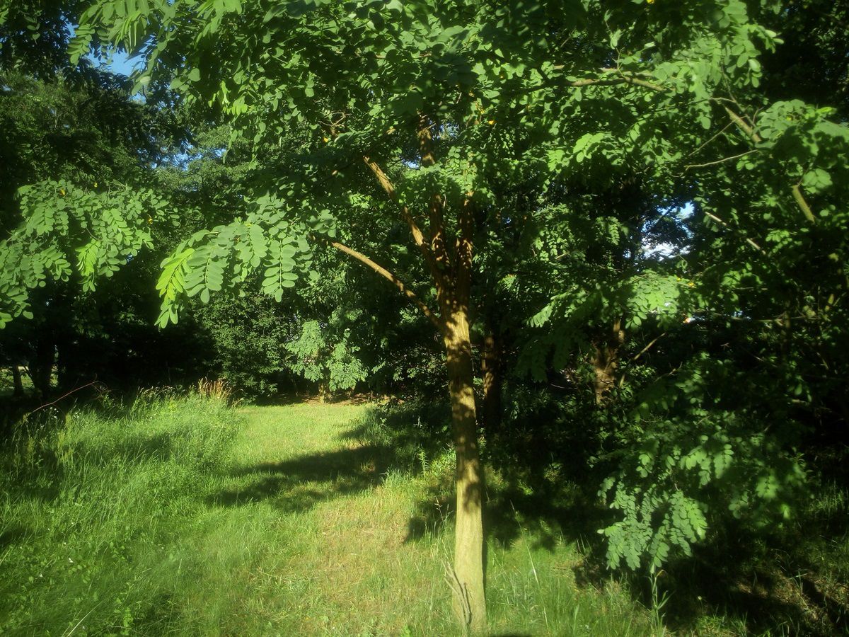 Archos 50 Saphir – test wytrzymałego kompana wakacyjnych wyjazdów 15