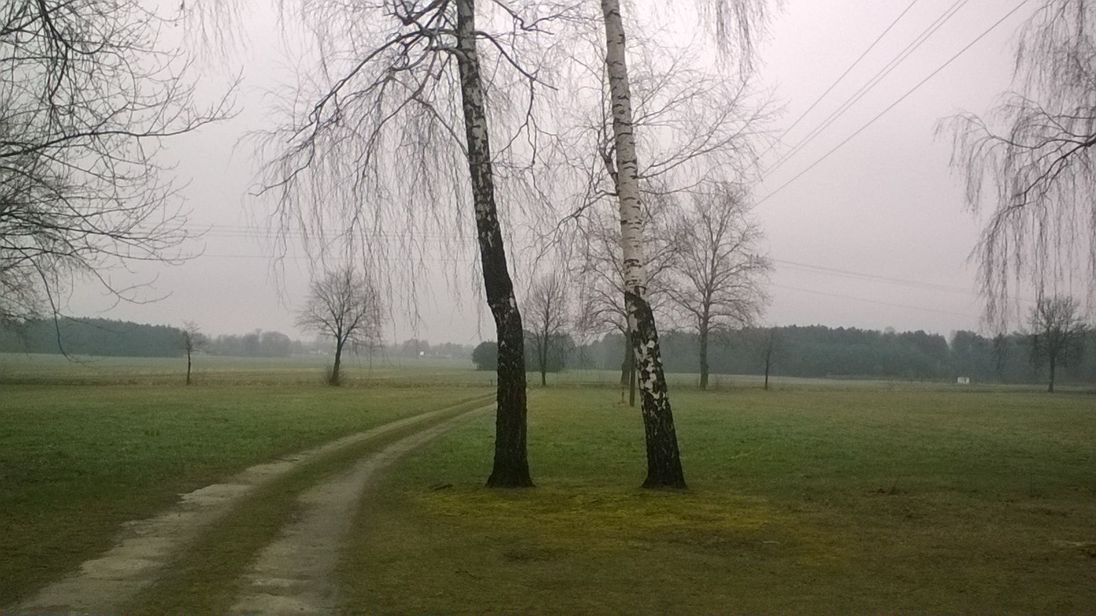 Test: Lumia 435. Płynny Windows Phone na sprzęcie za 320 zł? 6