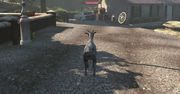 Zgarnij 10 darmowych kluczy do Goat Simulator na Steamie