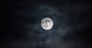 Twórcy Pale Moon zamierzają stworzyć nową przeglądarkę