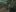 Counter-Strike Nexon: Zombies na weekend
