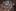 Zwiastun Baldur's Gate: Enhanced Edition II, premiera gry 15 listopada