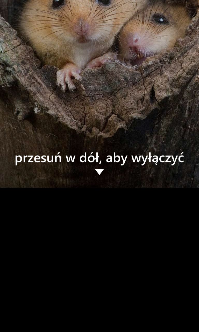 Ekran wyłączania