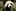 Panda 2016 to odświeżony interfejs, ulepszony silnik i wsparcie dla Windows 10