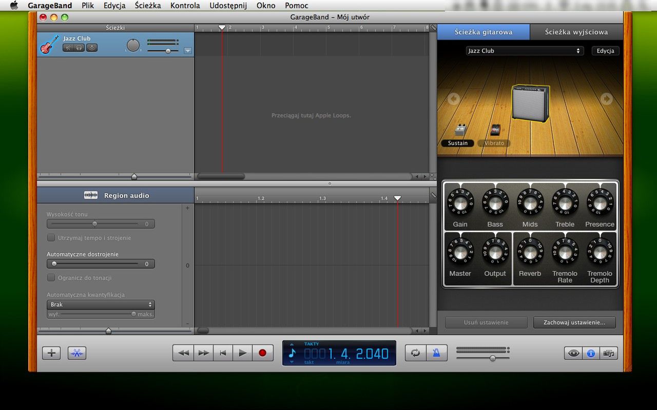 Ustawienia wzmacniacza