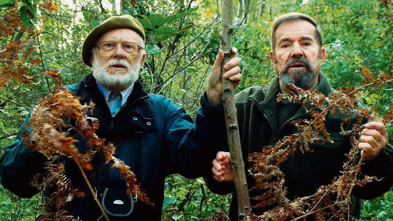 Czy ekolodzy powinni protestować w sprawie "szkieletora" i szpitala?