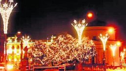 Plac Trzech Krzyży rozświetlą dwa drzewa z soplami