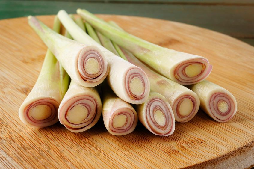 Warto spróbować: herbata z trawy cytrynowej
