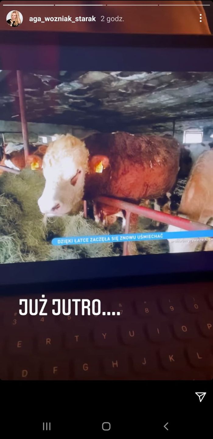 Agnieszka Woźniak-Starak - wzruszyła ją historia krowy