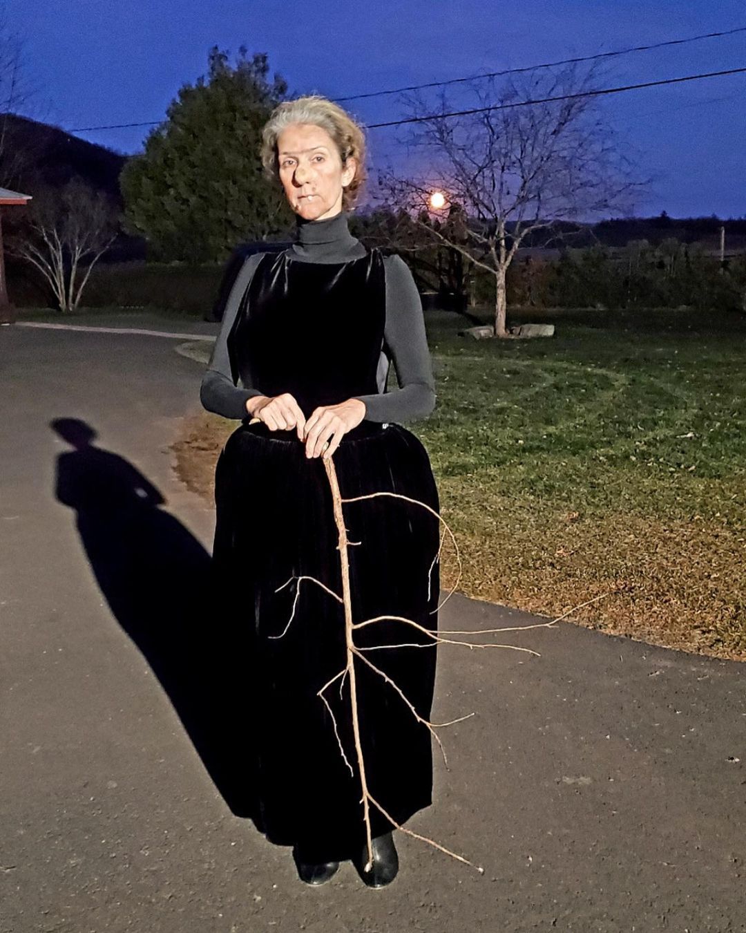 Halloween 2020-Celine Dion