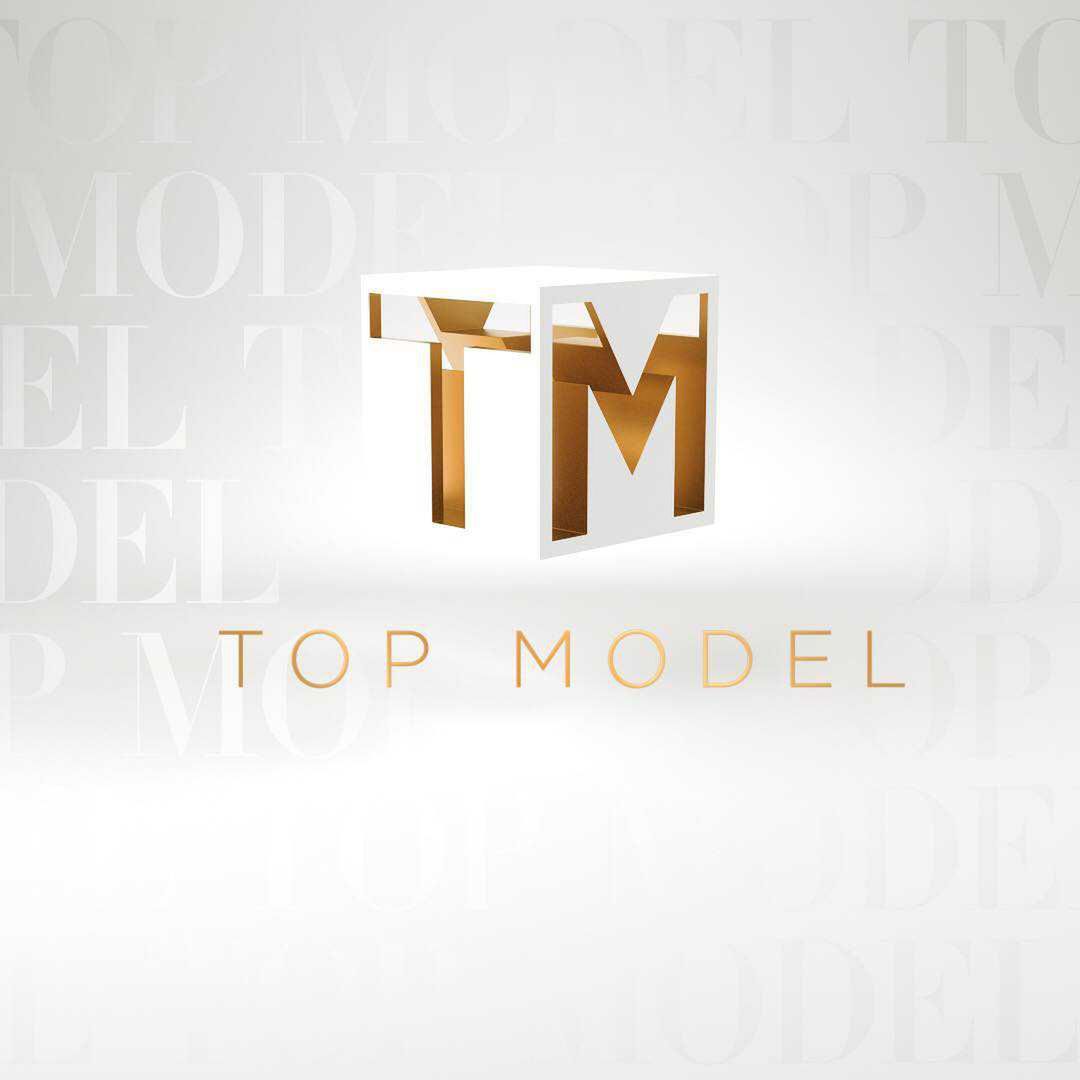 Top Model 8 - nowe logo