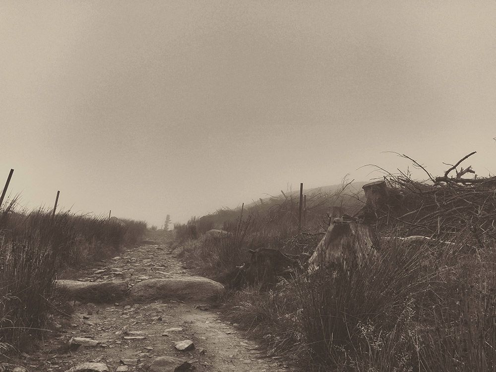 Fotografowanie telefonem może być sztuką – poznajcie zwycięzców Mobile Photography Awards 2015 8