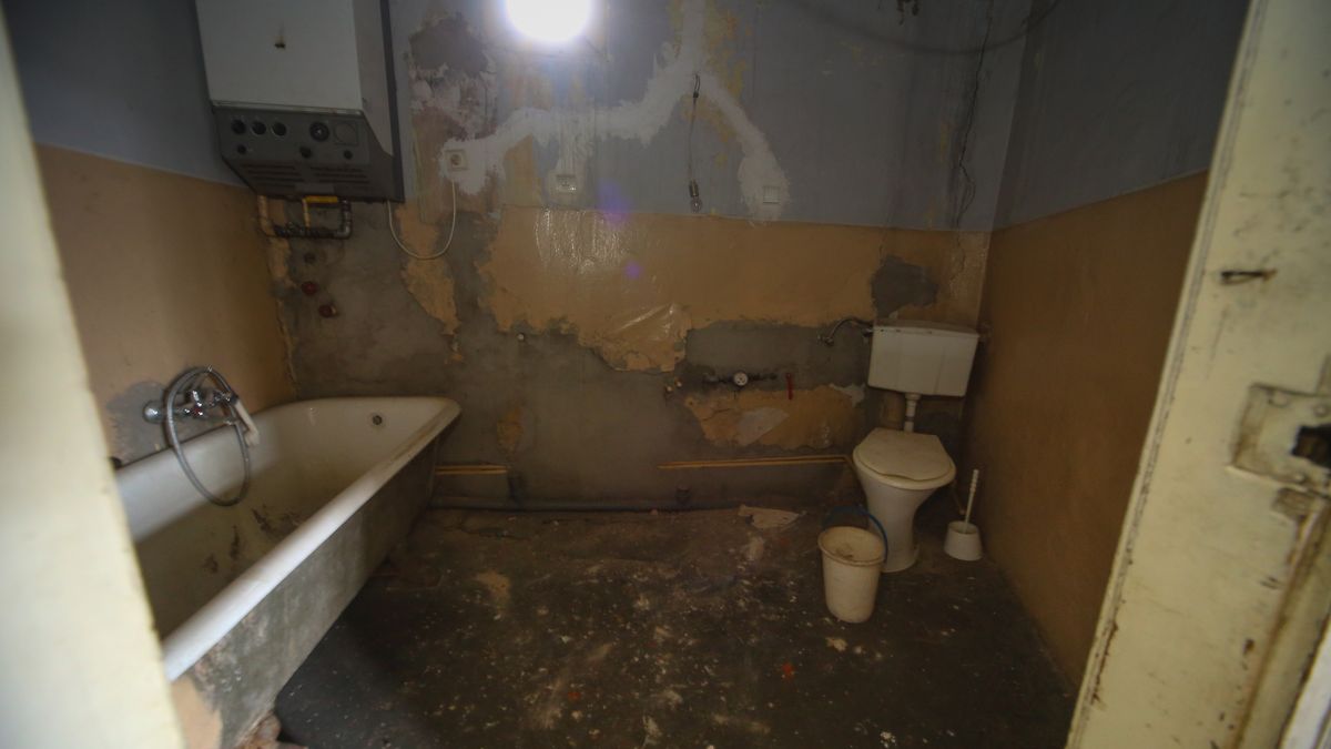 Grzyby w domu mogą być tylko na talerzu. Tak się zwalcza łazienkowe intruzy 1