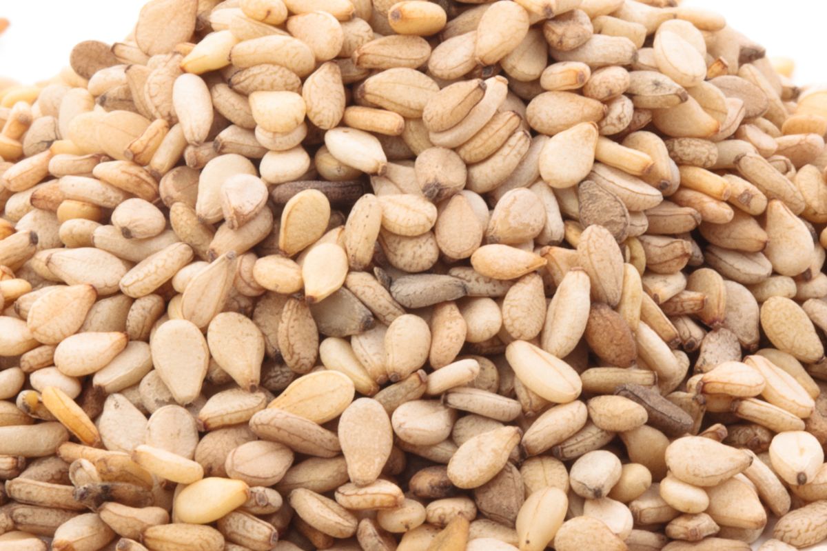 Sesame seeds, a forgotten calcium powerhouse in non-dairy diets