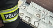 Lublin. Policja zatrzymała nielegalny handel egzotycznymi zwierzętami na targach
