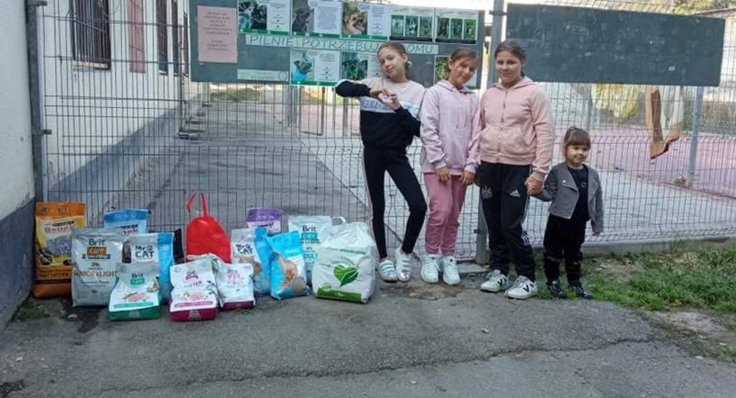 Dzięki funduszom z akcji charytatywnej, dziewczynki kupiły karmę dla schroniska
