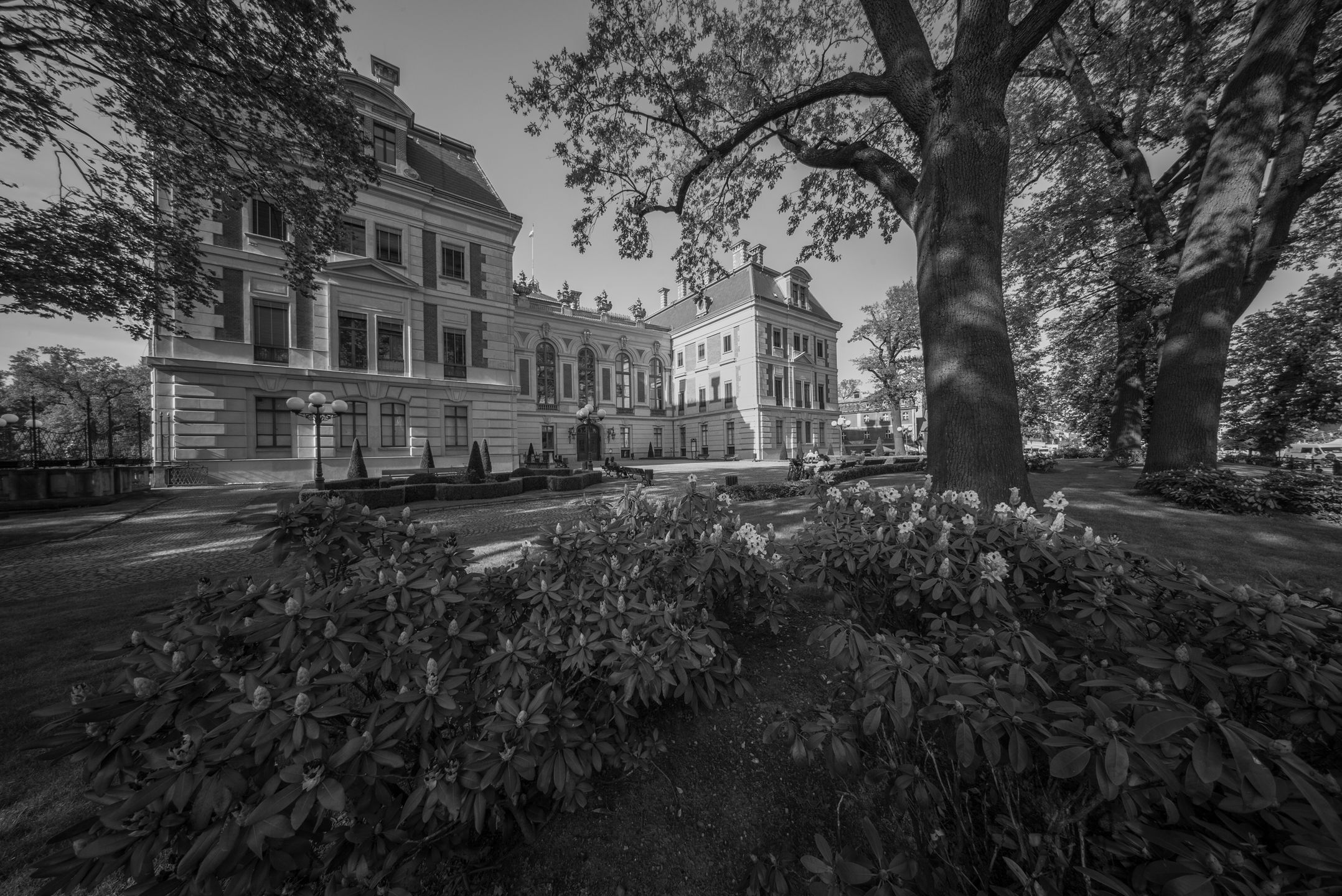 Subiektywnie o Leica M Monochrom Typ 246 60