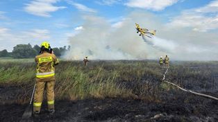 Pożar łąk niedaleko Gorzowa. W akcji dwa samoloty gaśnicze